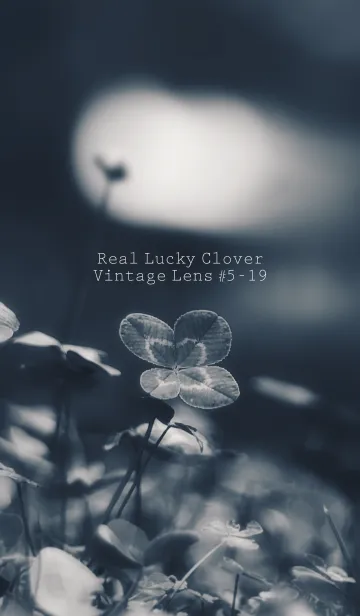 [LINE着せ替え] 四つ葉のクローバー Vintage Lens #5-19の画像1