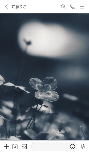 [LINE着せ替え] 四つ葉のクローバー Vintage Lens #5-19の画像2