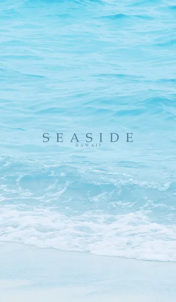 [LINE着せ替え] SEASIDE-HAWAII.MEKYM 30の画像1