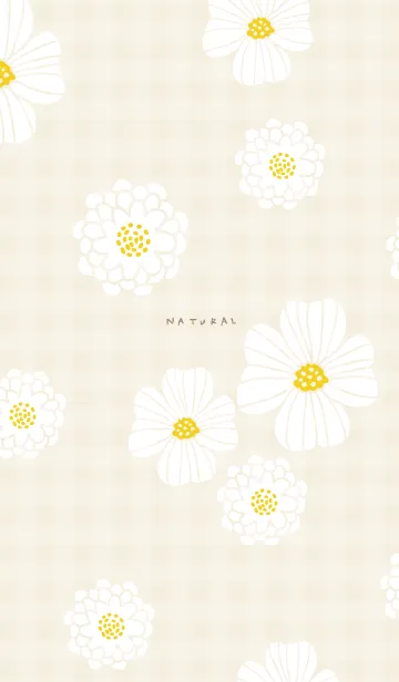 [LINE着せ替え] 白い花 可愛い24の画像1