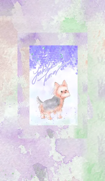 [LINE着せ替え] ヨークシャーテリア-wisteria-の画像1