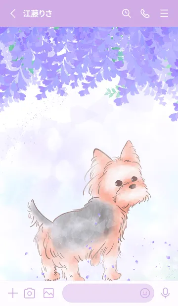 [LINE着せ替え] ヨークシャーテリア-wisteria-の画像2