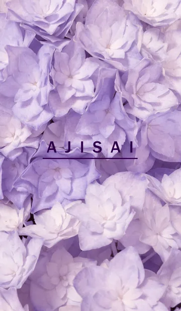 [LINE着せ替え] AJISAI-Purple Flower 23の画像1