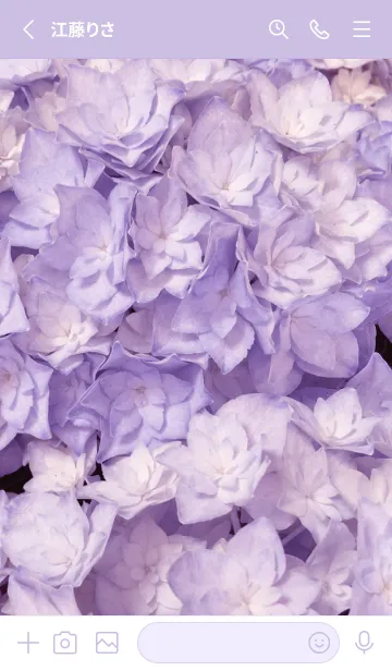 [LINE着せ替え] AJISAI-Purple Flower 23の画像2
