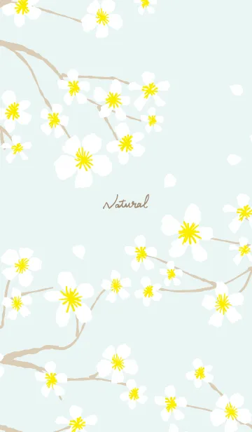 [LINE着せ替え] 白い花咲く ブルー3の画像1