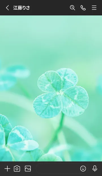 [LINE着せ替え] 四つ葉のクローバー Vintage Lens #8-19の画像2