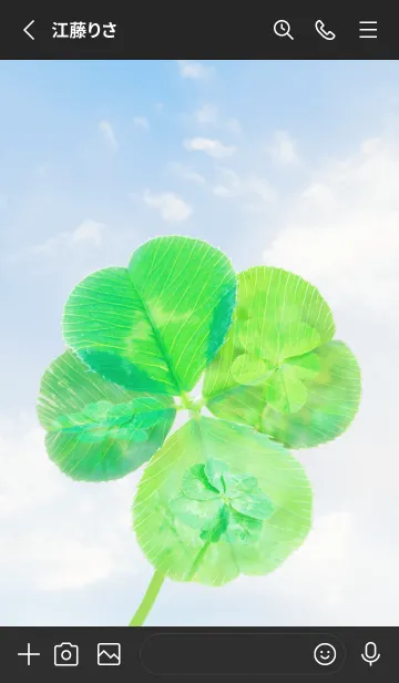 [LINE着せ替え] Four-Leaf Clover Lucky World #1-9の画像2