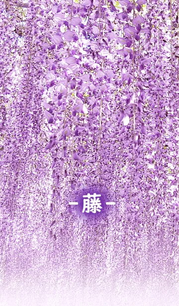 [LINE着せ替え] 日本の花-*藤*-の画像1