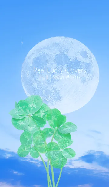[LINE着せ替え] Real Lucky Clovers Full Moon #1-16の画像1