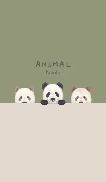 [LINE着せ替え] ANIMAL - パンダ - オリーブの画像1