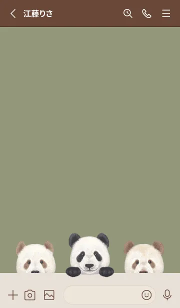[LINE着せ替え] ANIMAL - パンダ - オリーブの画像2