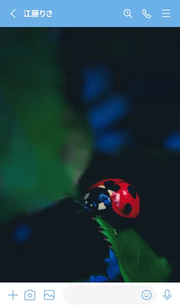 [LINE着せ替え] Ladybird Symbol of good luck #4-15の画像2