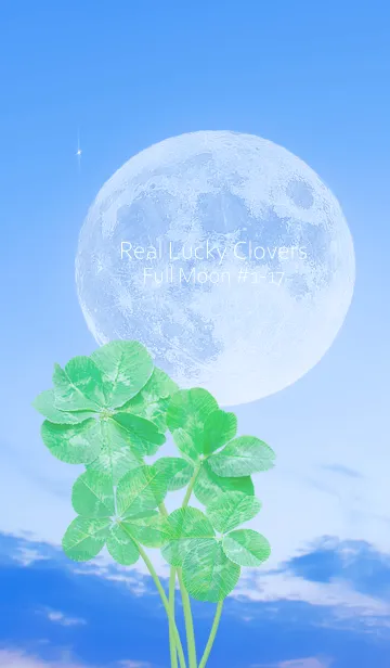 [LINE着せ替え] Real Lucky Clovers Full Moon #1-17の画像1