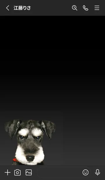 [LINE着せ替え] シュナウザー犬ロッキーと仲間たちリアル黒の画像2