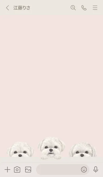 [LINE着せ替え] ワンワン！ - マルチーズ - パステルピンクの画像2