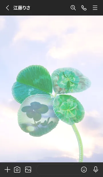 [LINE着せ替え] Four-Leaf Clover Lucky World #2-9の画像2