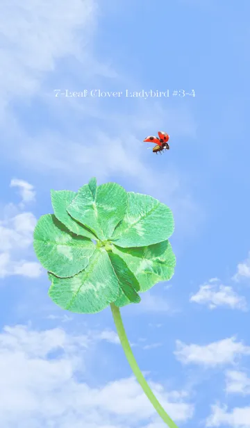 [LINE着せ替え] 七つ葉のクローバーとテントウムシ #3-4の画像1