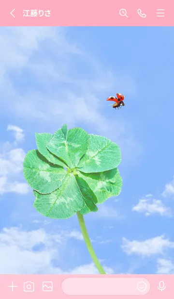 [LINE着せ替え] 七つ葉のクローバーとテントウムシ #3-4の画像2