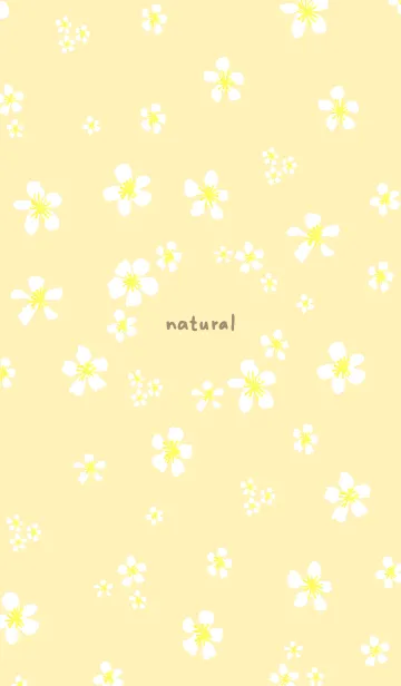 [LINE着せ替え] 白い小花が舞う18の画像1