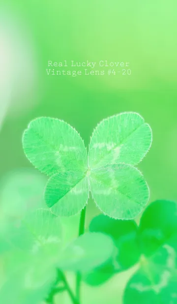 [LINE着せ替え] 四つ葉のクローバー Vintage Lens #4-20の画像1