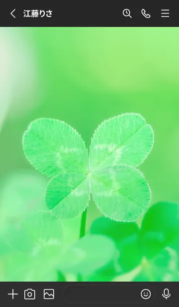 [LINE着せ替え] 四つ葉のクローバー Vintage Lens #4-20の画像2