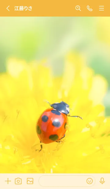 [LINE着せ替え] Ladybird Symbol of good luck #1-16の画像2