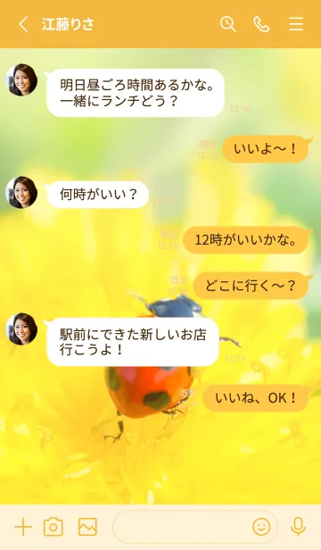 [LINE着せ替え] Ladybird Symbol of good luck #1-16の画像3