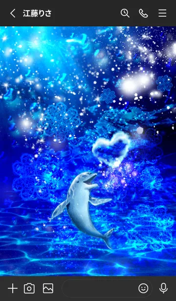 [LINE着せ替え] 幸運を引き寄せるイルカ✨の画像2