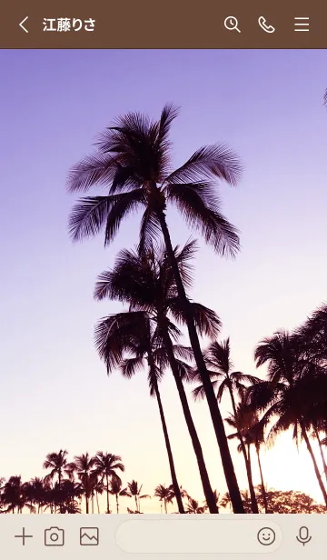 [LINE着せ替え] Palm trees and sunset 24の画像2