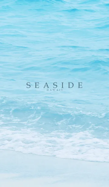 [LINE着せ替え] SEASIDE-HAWAII.MEKYM 31の画像1