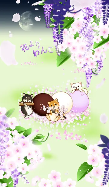 [LINE着せ替え] 花よりわんこ19（柴犬、藤、夜桜、団子）の画像1