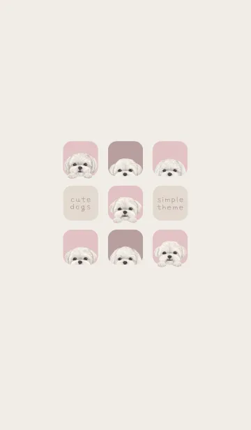 [LINE着せ替え] DOGS - マルチーズ - ピンクグレーの画像1