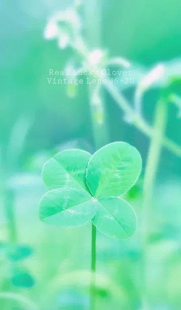 [LINE着せ替え] 四つ葉のクローバー Vintage Lens #6-20の画像1