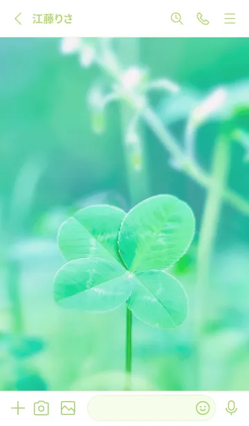 [LINE着せ替え] 四つ葉のクローバー Vintage Lens #6-20の画像2