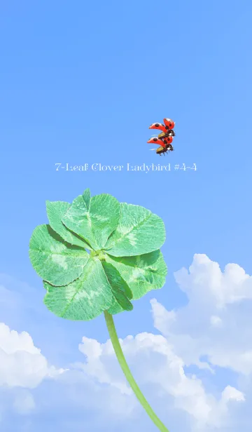 [LINE着せ替え] 七つ葉のクローバーとテントウムシ #4-4の画像1