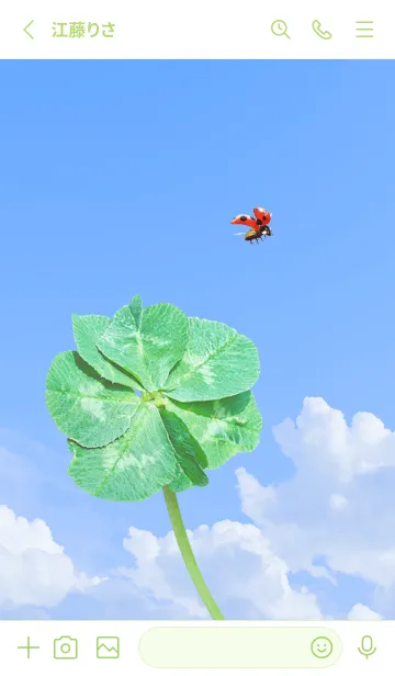 [LINE着せ替え] 七つ葉のクローバーとテントウムシ #4-4の画像2