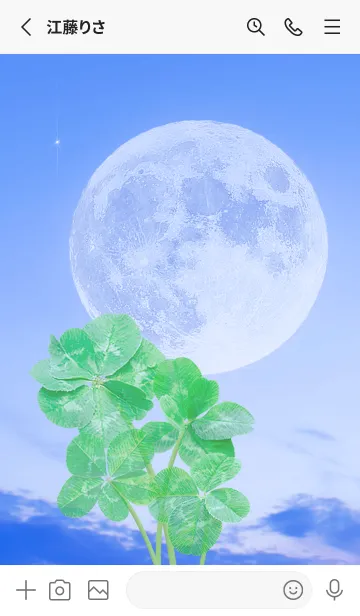 [LINE着せ替え] Real Lucky Clovers Full Moon #1-19の画像2