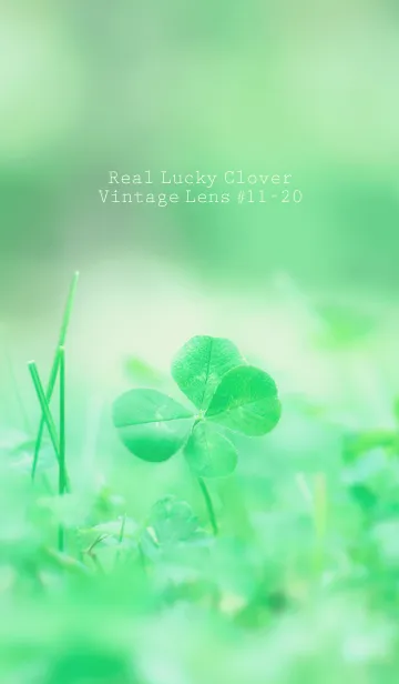 [LINE着せ替え] 四つ葉のクローバー Vintage Lens #11-20の画像1
