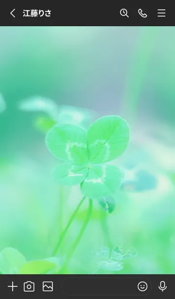 [LINE着せ替え] 四つ葉のクローバー Vintage Lens #18-9の画像2