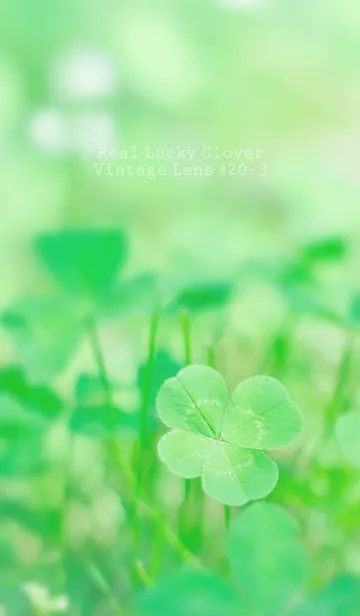 [LINE着せ替え] 四つ葉のクローバー Vintage Lens #20-3の画像1