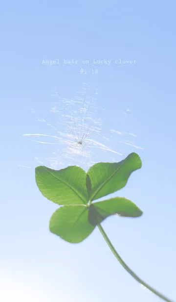 [LINE着せ替え] 幸運の妖精ケサランパサラン #1-18の画像1