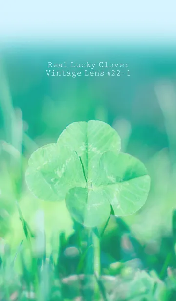 [LINE着せ替え] 四つ葉のクローバー Vintage Lens #22-1の画像1