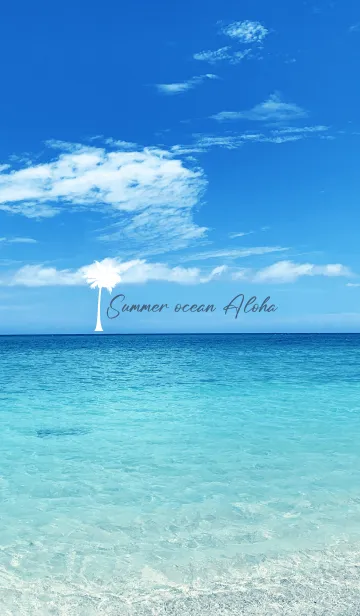 [LINE着せ替え] Summer ocean Aloha.24の画像1