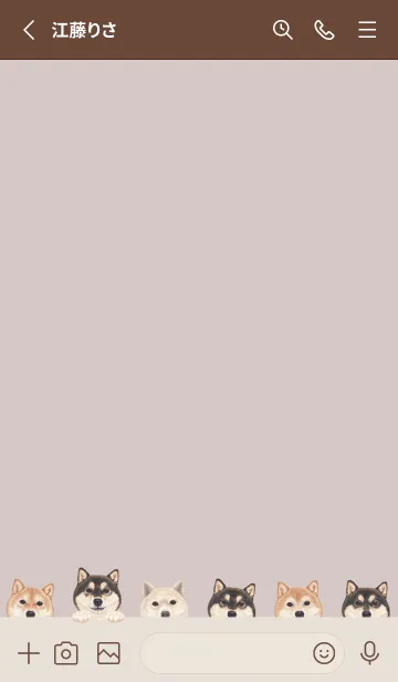 [LINE着せ替え] DOGS - 柴犬 - ブラウングレーの画像2