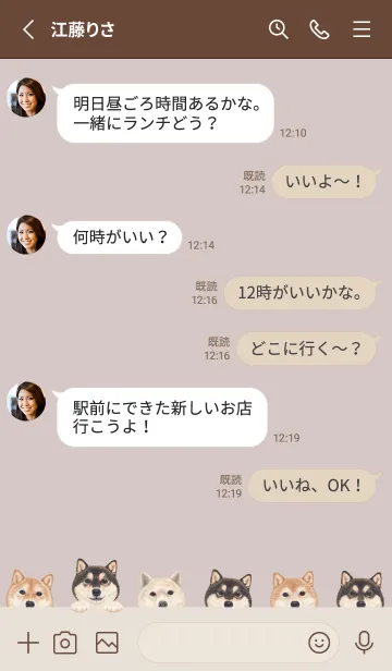 [LINE着せ替え] DOGS - 柴犬 - ブラウングレーの画像3