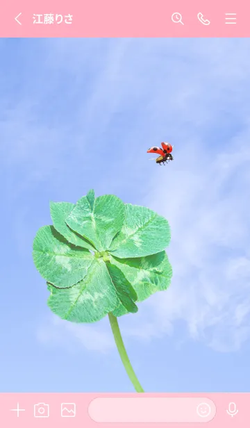 [LINE着せ替え] 七つ葉のクローバーとテントウムシ #5-4の画像2