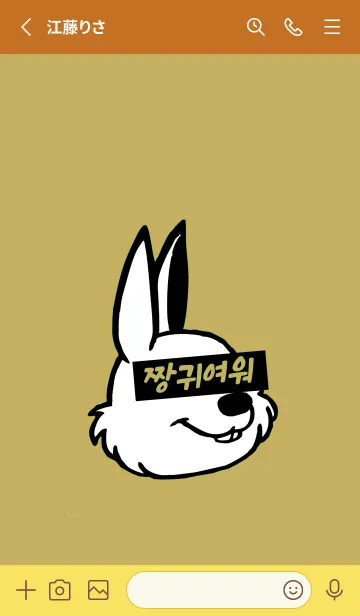 [LINE着せ替え] 韓国 ラビット 23の画像2