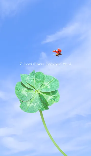 [LINE着せ替え] 七つ葉のクローバーとテントウムシ #6-4の画像1