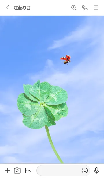 [LINE着せ替え] 七つ葉のクローバーとテントウムシ #6-4の画像2