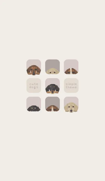 [LINE着せ替え] DOGS - ダックスフンド - ブラウングレーの画像1